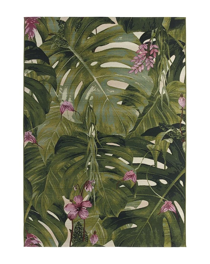 AMAZZONIA 33X