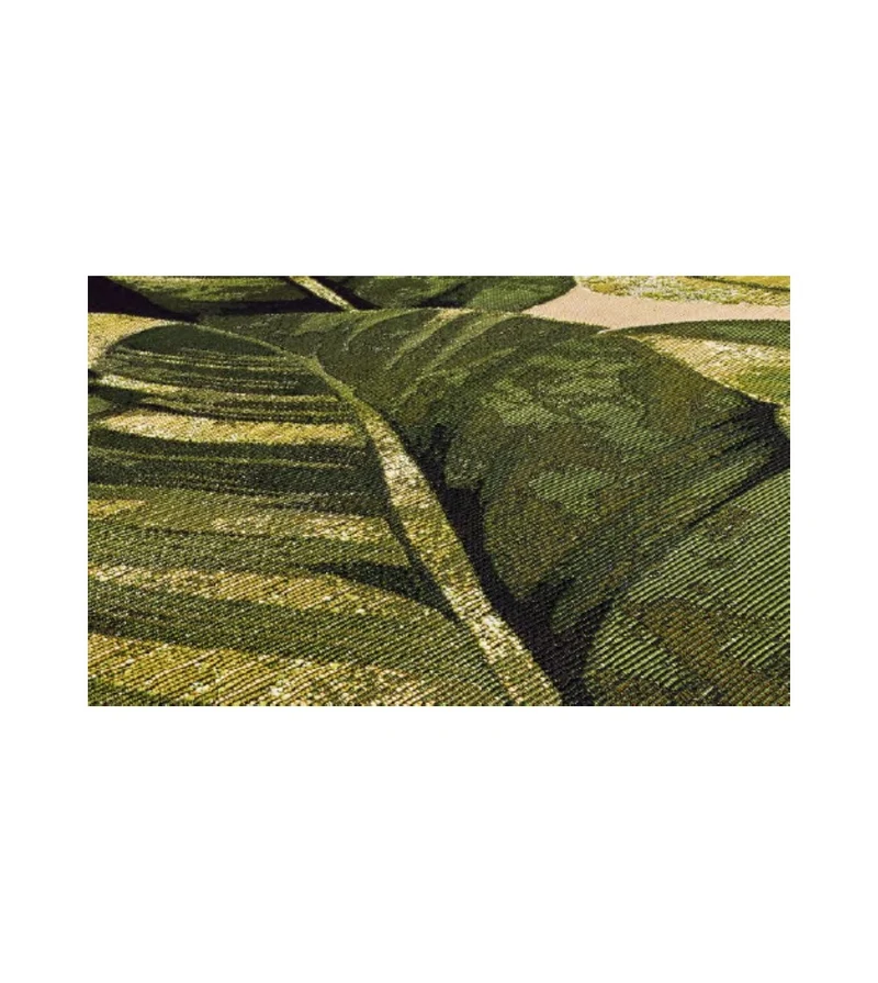 AMAZZONIA 609X