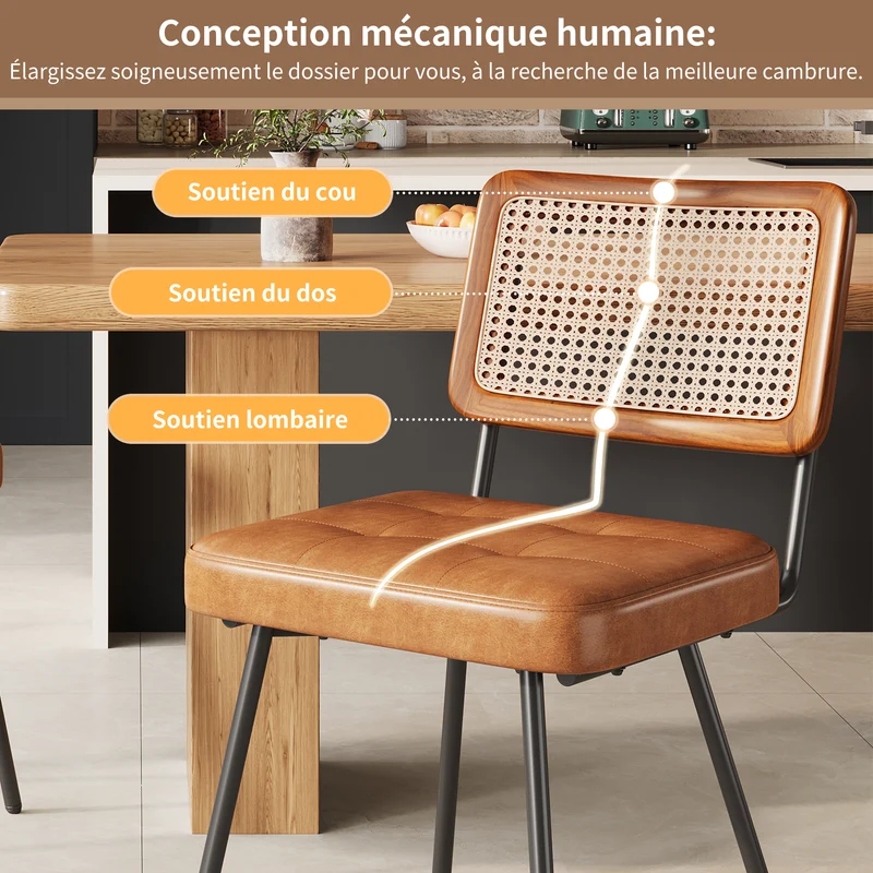 Lot de 2 chaise de salle à manger vintage en rotin PE et simili cuir marron SIRIUSGUIDE