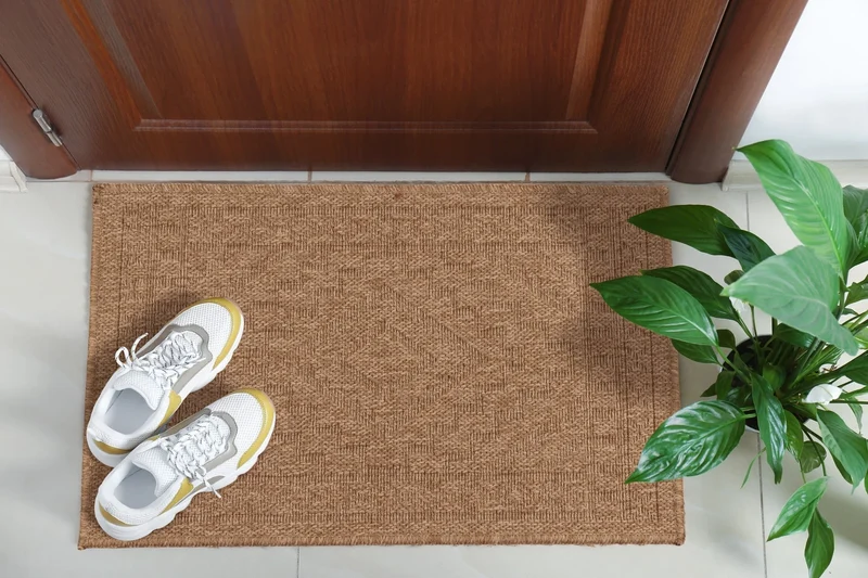 Tapis de salon - intérieur extérieur - aspect jute naturel - motifs géométriques beige - Nature
