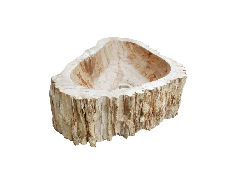 Évier en bois fossilisé