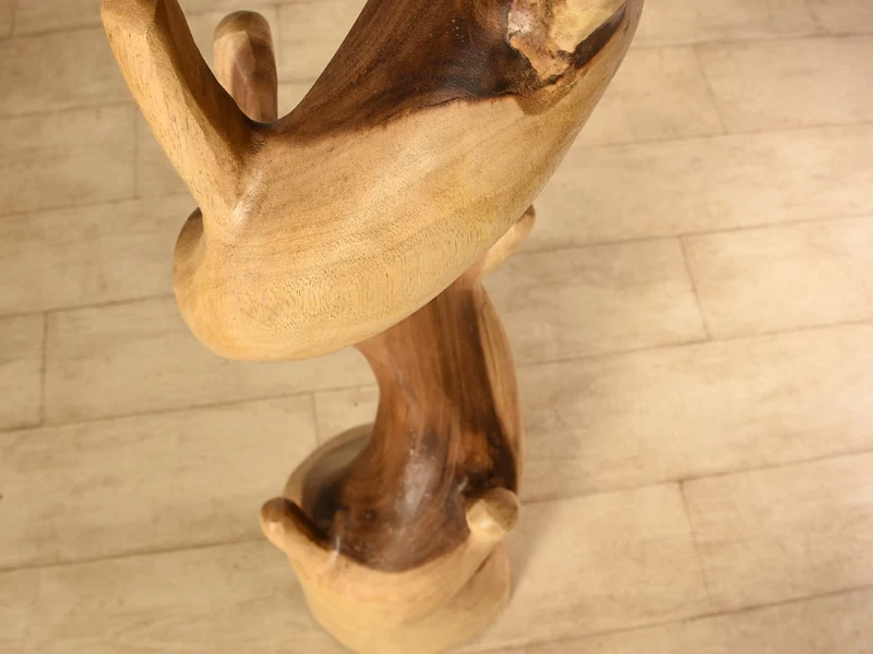 Porte manteau Cactus naturel