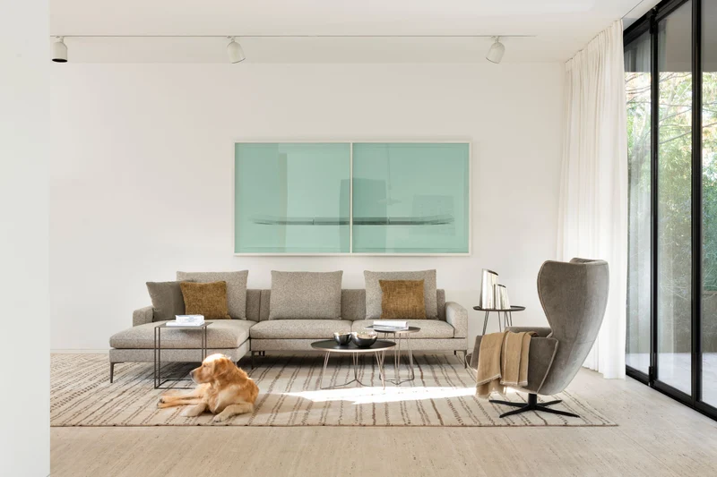Canapé - design - Tigra openbase