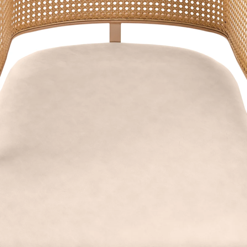 Lot de 2 chaises de salle à manger dossier en rotin, coussin d'assise en cuir PU beige, confortable et respirant NAD
