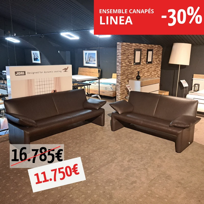 Ensemble Linéa