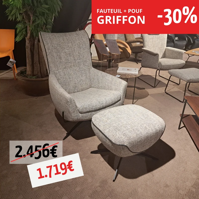 FAUTEUIL + POUF GRIFFON