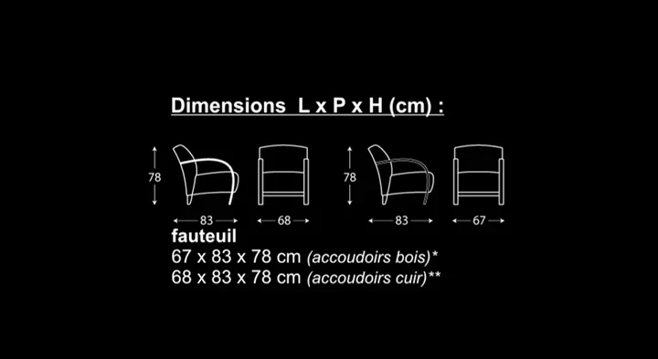 Fauteuil - haut de gamme - Sylphide