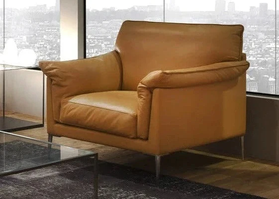 Fauteuil en cuir - leger - Helium