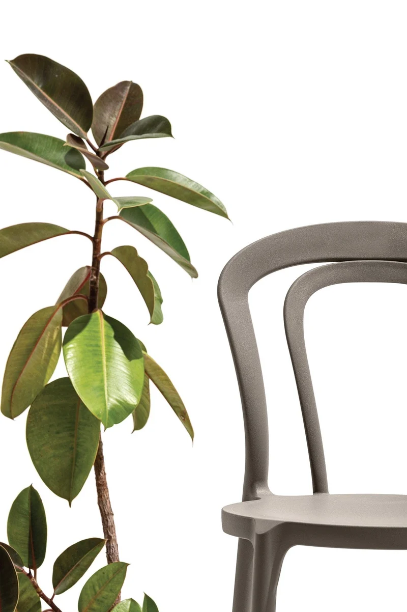Chaise Connubia - Caffè