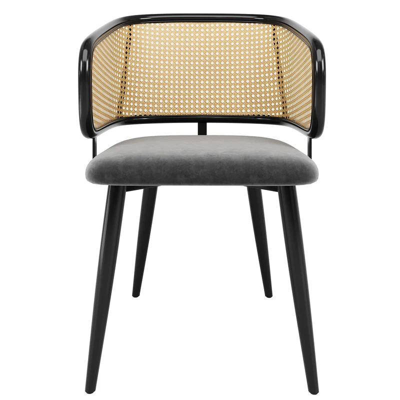 Lot de 2 chaises de salle à manger velours gris et dossier en rotin, pieds en métal noir POLLENBASKET