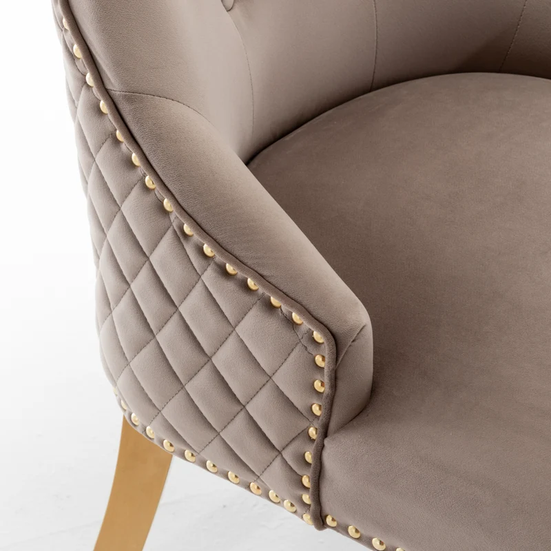 Chaises LION