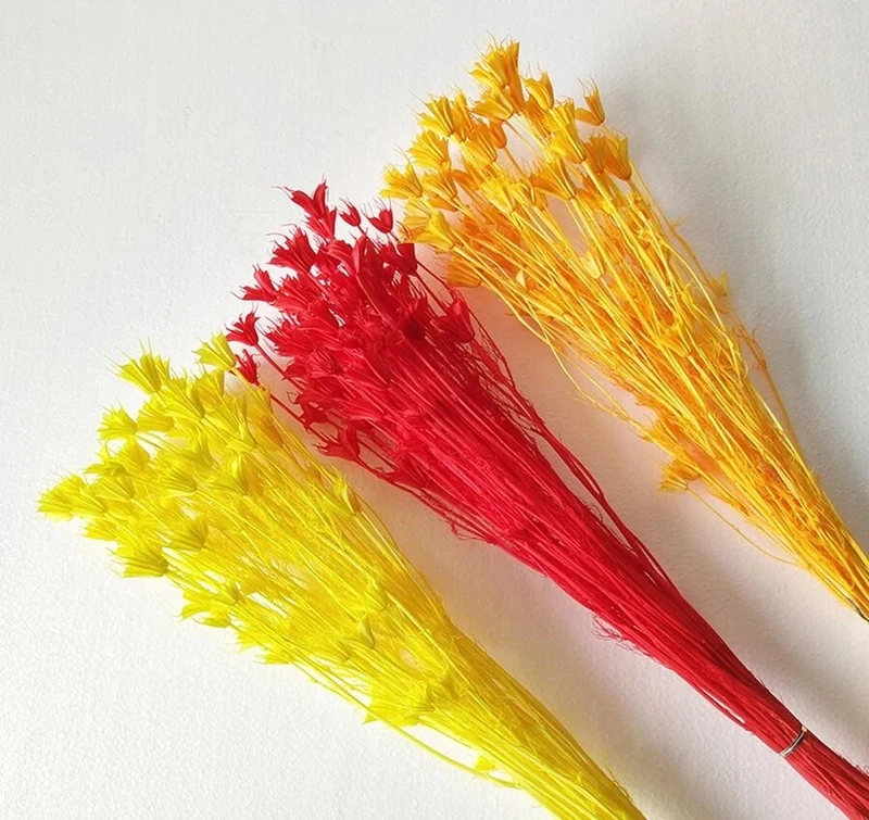 Bouquet de fleur d'anis étoilée séché et emballé, 100g, H50-75 cm