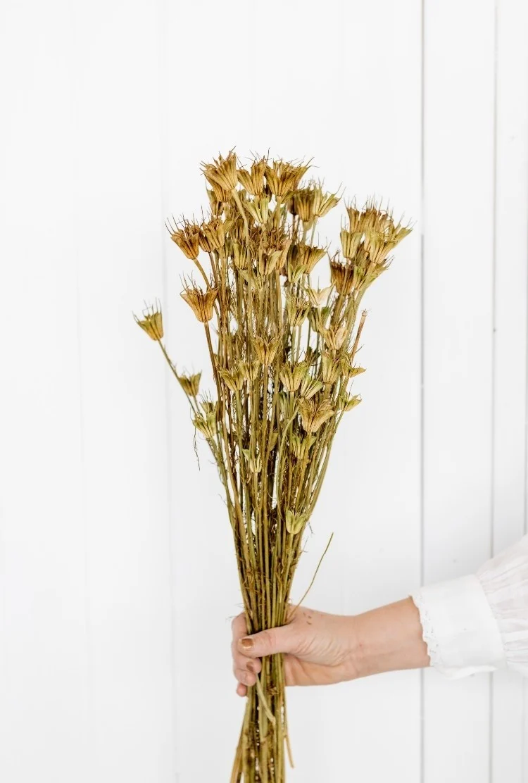 Bouquet de fleur d'anis étoilée séché et emballé, 100g, H50-75 cm