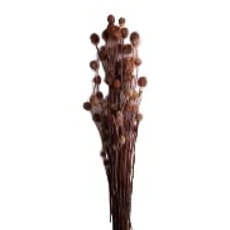 Bouquet de brindilles séché et emballé, 50g, H60-75 cm