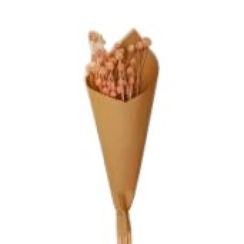 Bouquet de brindilles séché et emballé, 50g, H60-75 cm