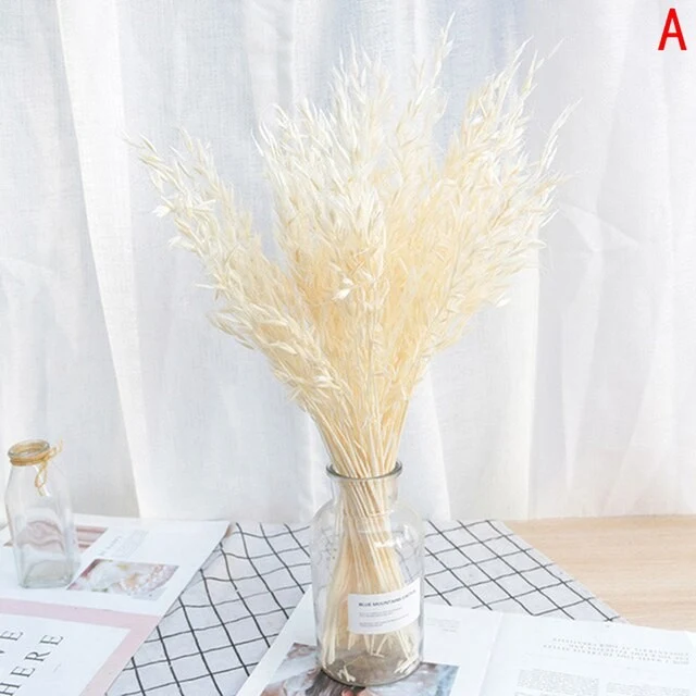 Bouquet d'avoine séché et emballé, 100g, H60-75cm