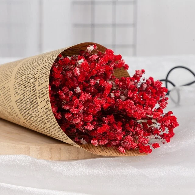 Bouquet de gypsophile séché et emballé, 100g, H75cm