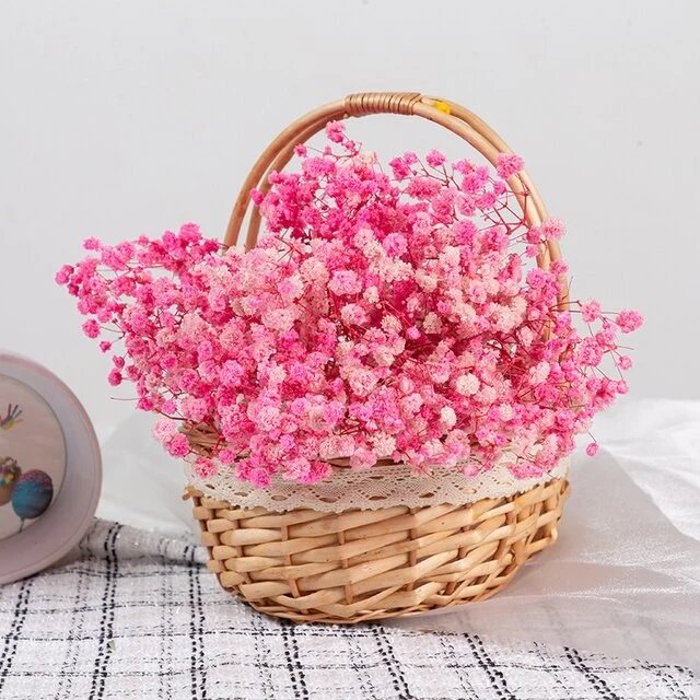 Bouquet de gypsophile séché et emballé, 100g, H75cm