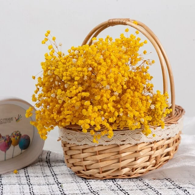 Bouquet de gypsophile séché et emballé, 100g, H75cm