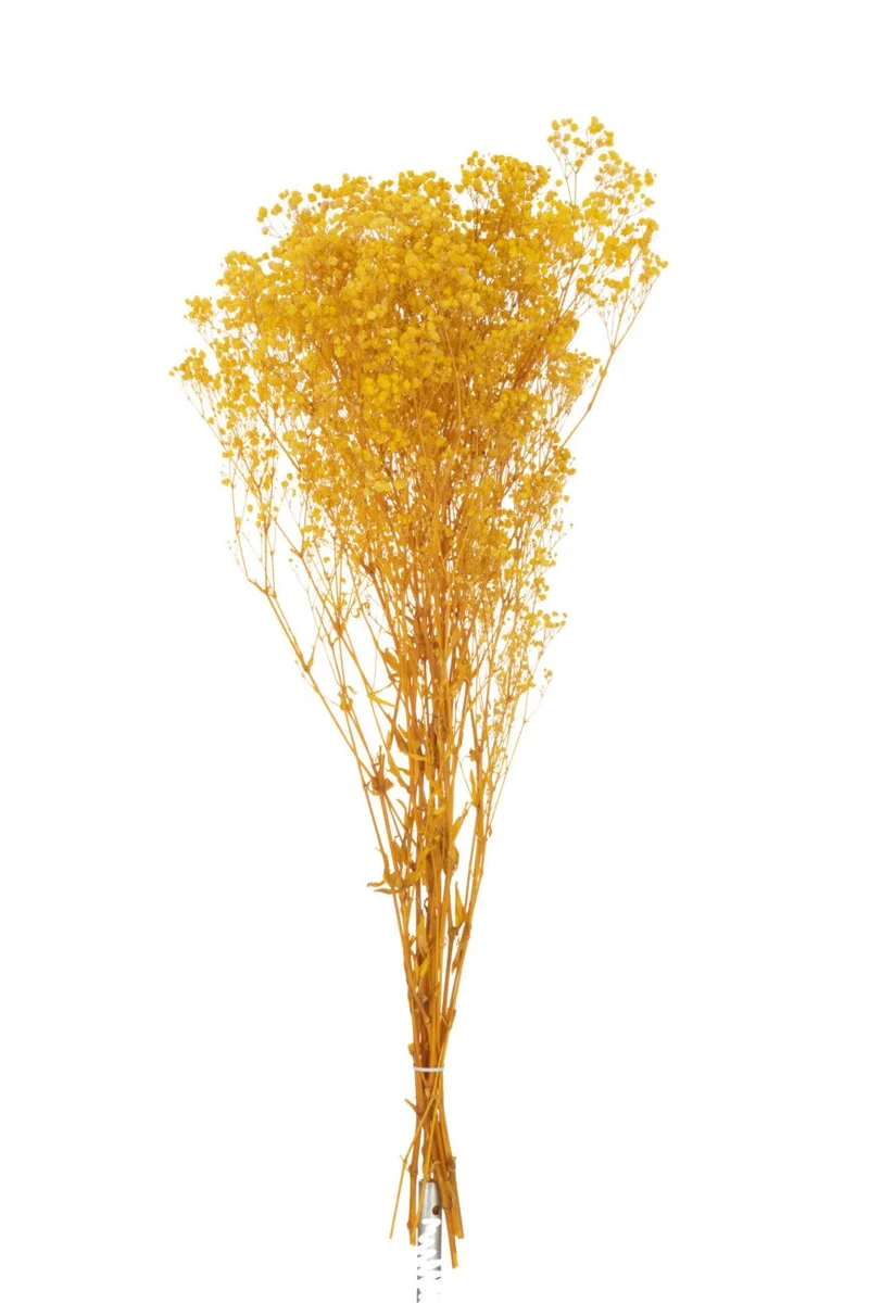 Bouquet de gypsophile séché et emballé, 100g, H75cm