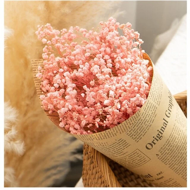 Bouquet de gypsophile séché et emballé, 100g, H75cm