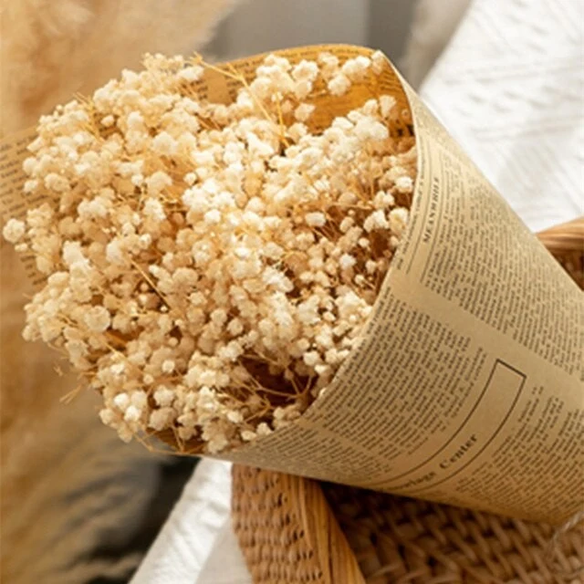 Bouquet de gypsophile séché et emballé, 100g, H75cm