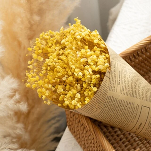 Bouquet de gypsophile séché et emballé, 100g, H75cm