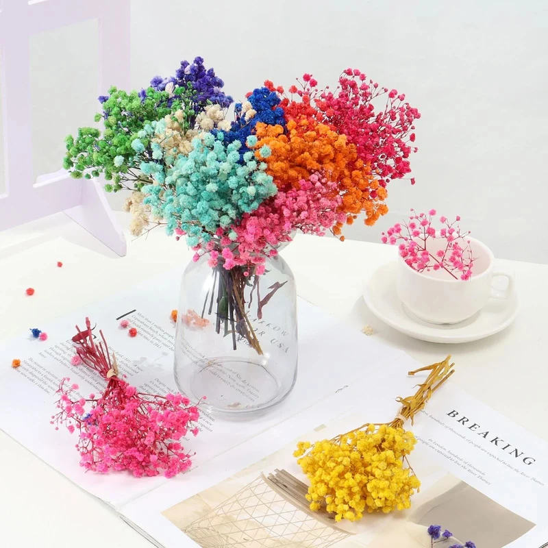 Bouquet de gypsophile séché et emballé, 100g, H75cm