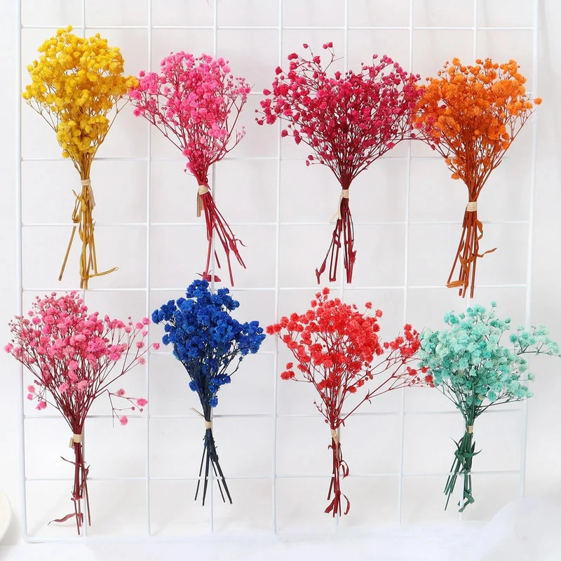 Bouquet de gypsophile séché et emballé, 100g, H75cm