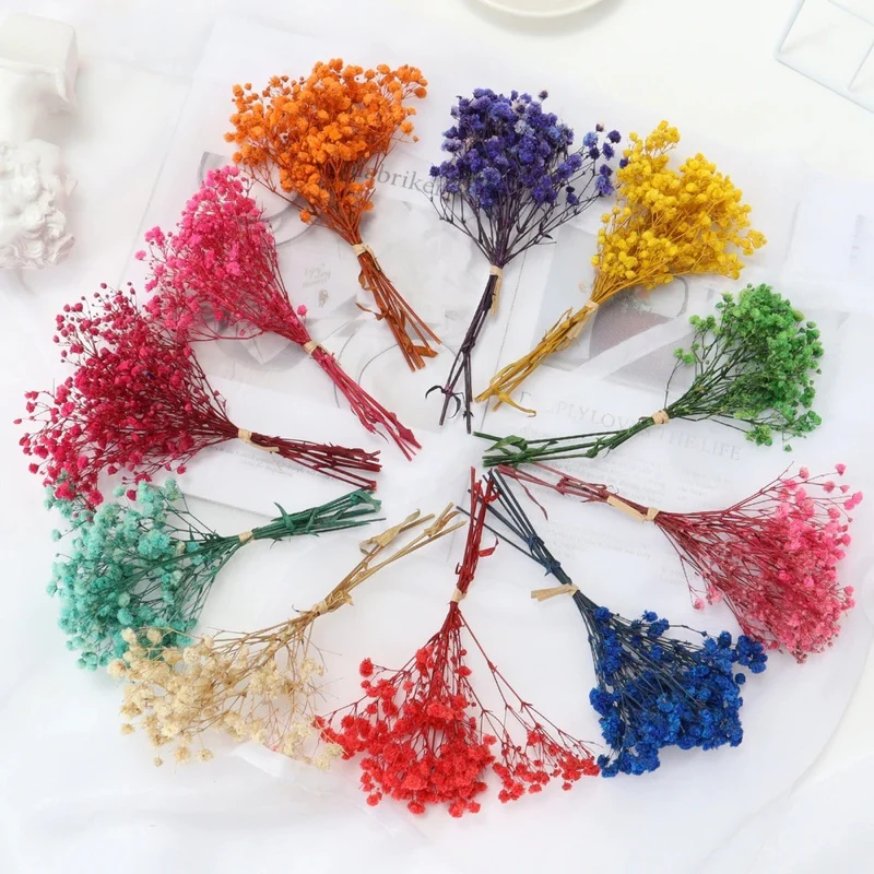 Bouquet de gypsophile séché et emballé, 100g, H75cm