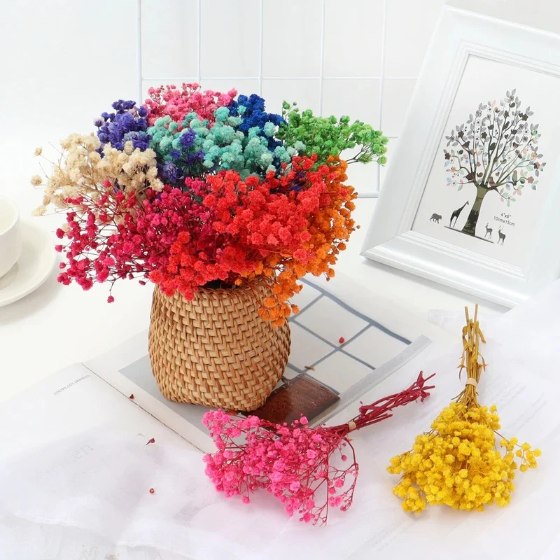 Bouquet de gypsophile séché et emballé, 100g, H75cm