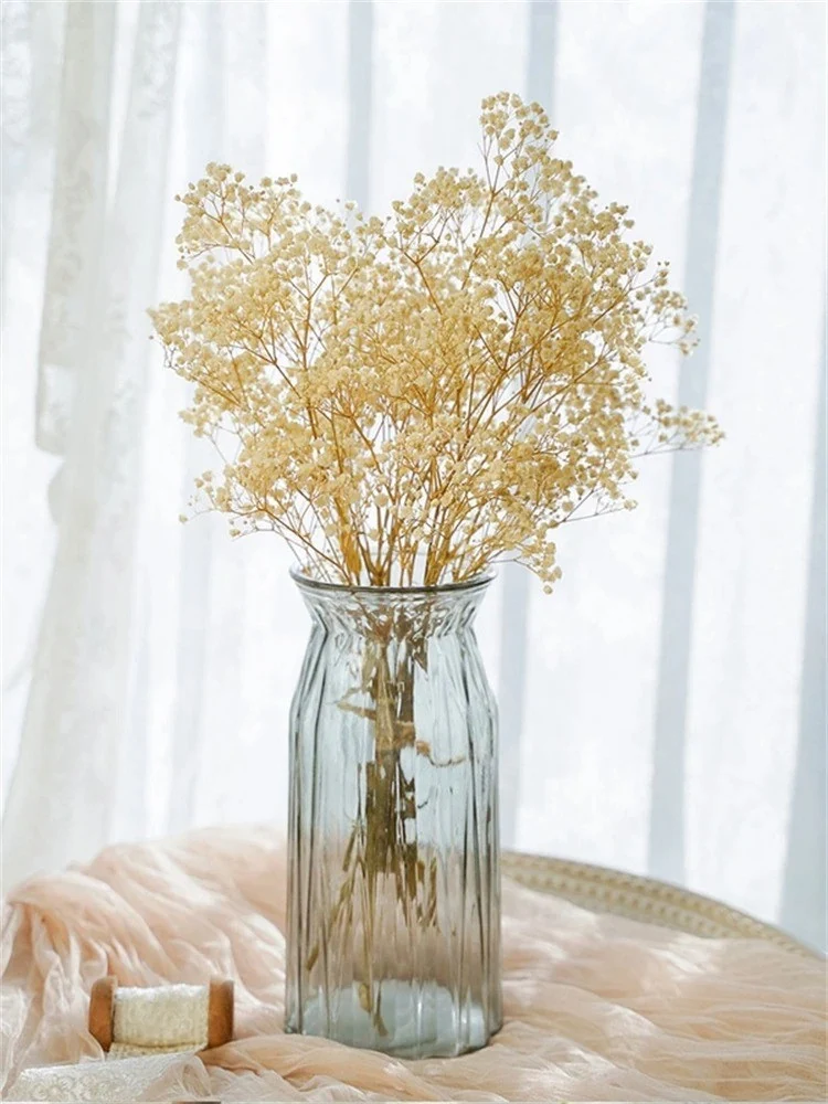 Bouquet de gypsophile séché et emballé, 100g, H75cm