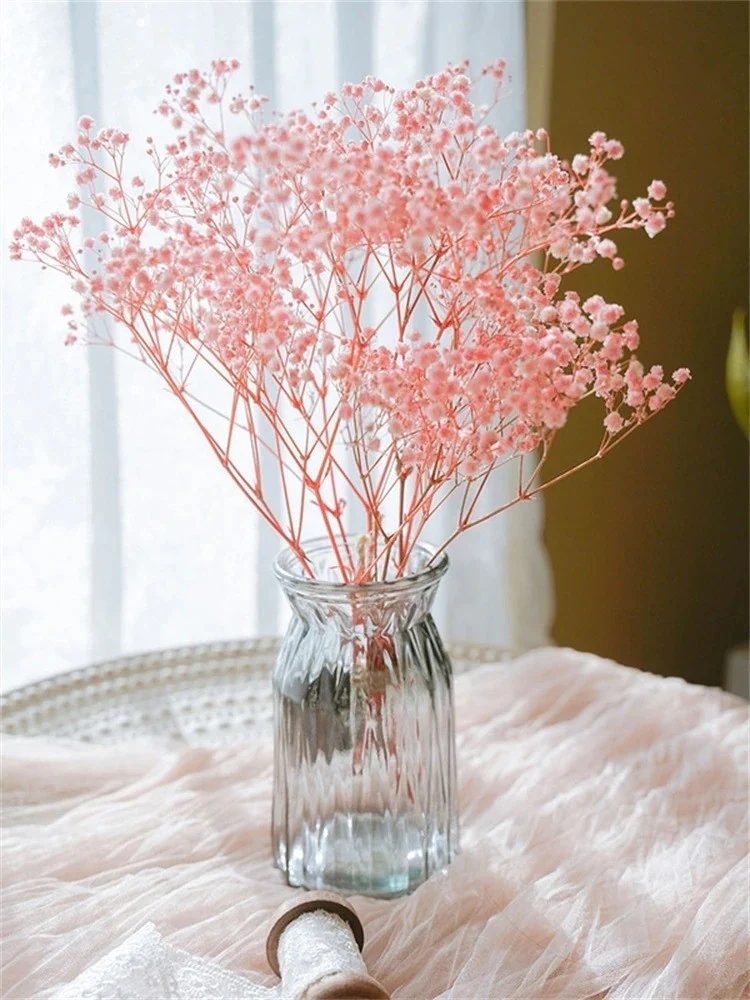 Bouquet de gypsophile séché et emballé, 100g, H75cm
