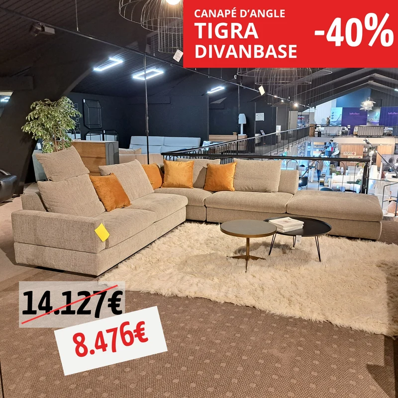 Un canapé d'angle - Tigra divanbase
