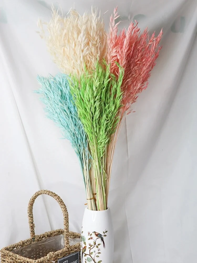 Bouquet d'avoine rose emballé, H80 cm