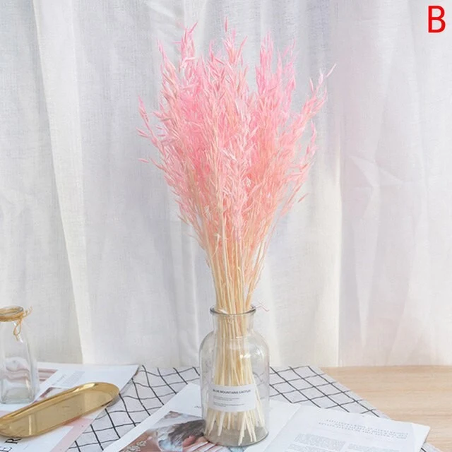 Bouquet d'avoine rose emballé, H80 cm