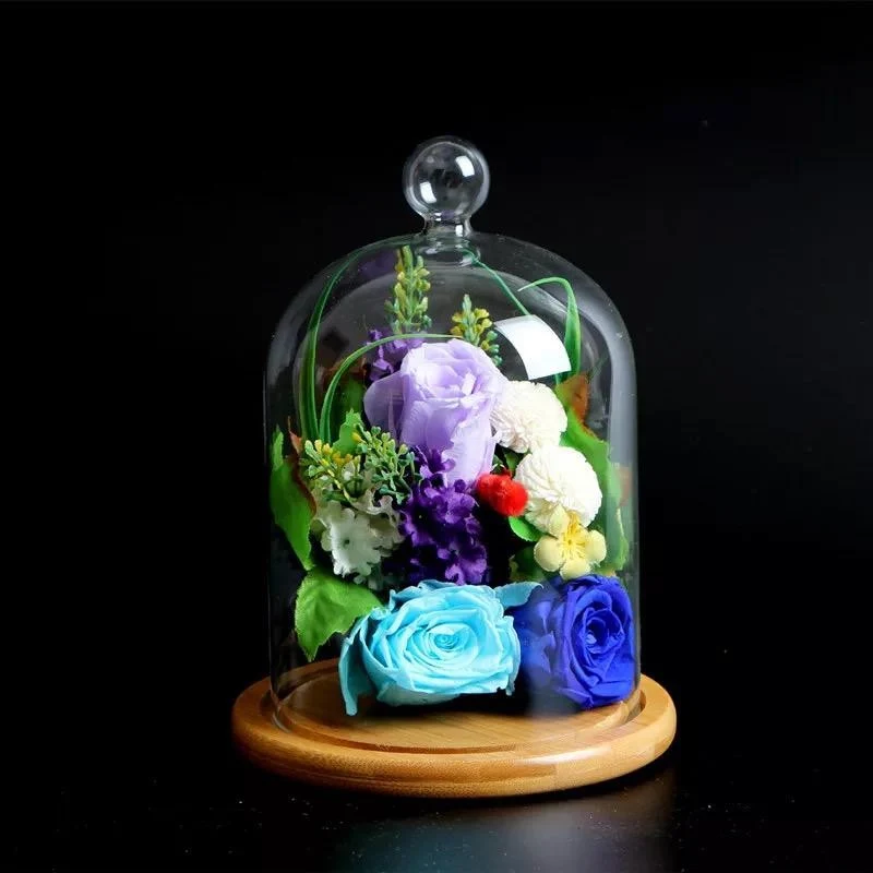 Cloche en verre YOKUSUKA avec base en bois H20CM