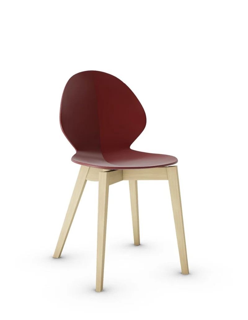 Chaise Calligaris - Basil Wood (CS1348)