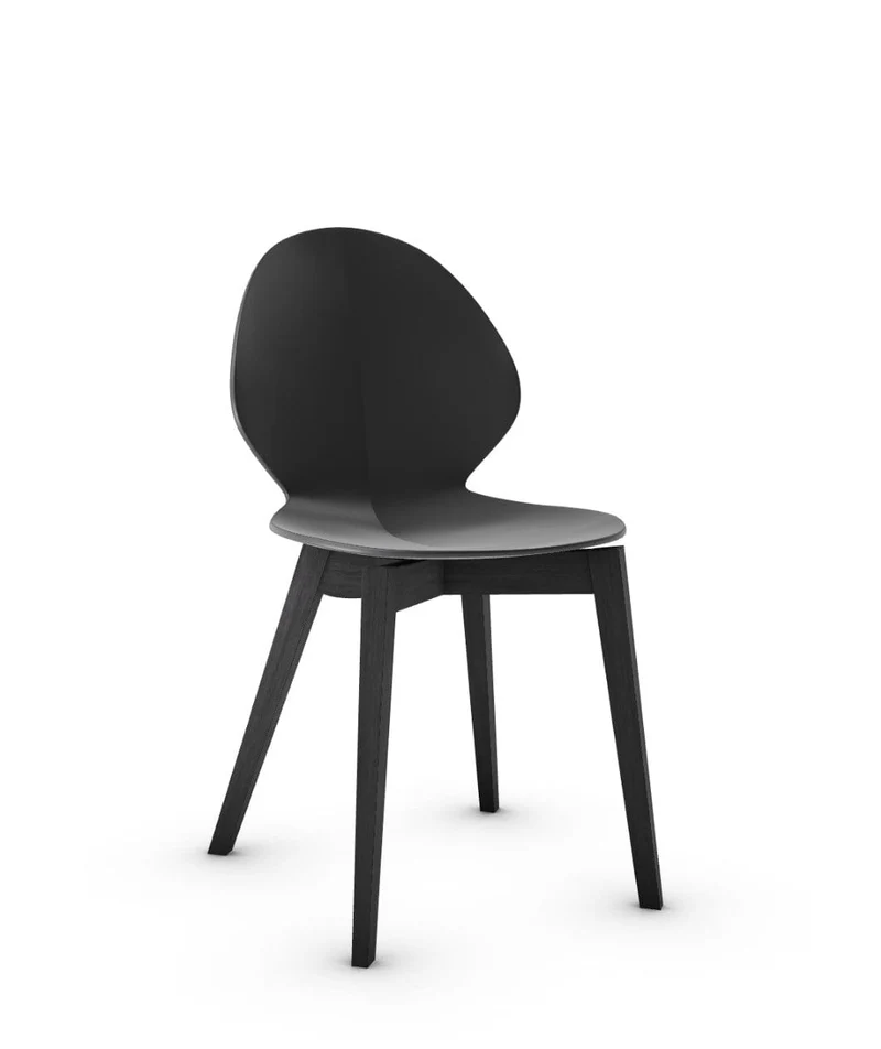 Chaise Calligaris - Basil Wood (CS1348)