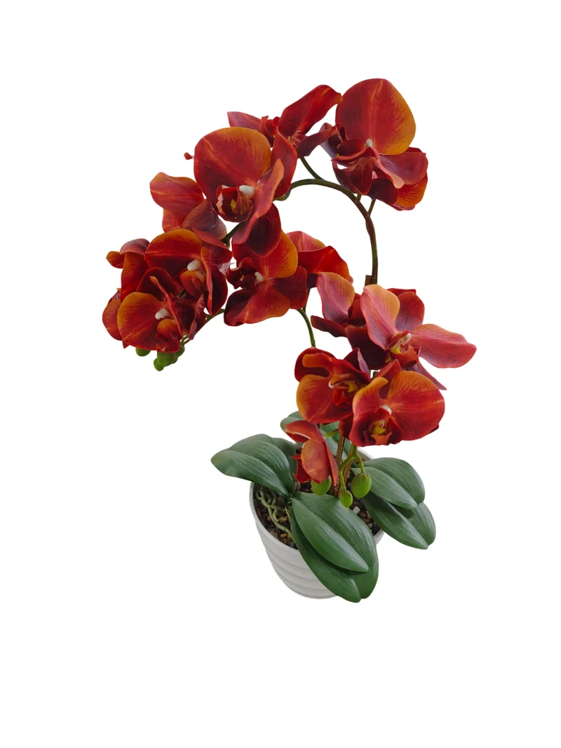 Plante artificielle, H55CM